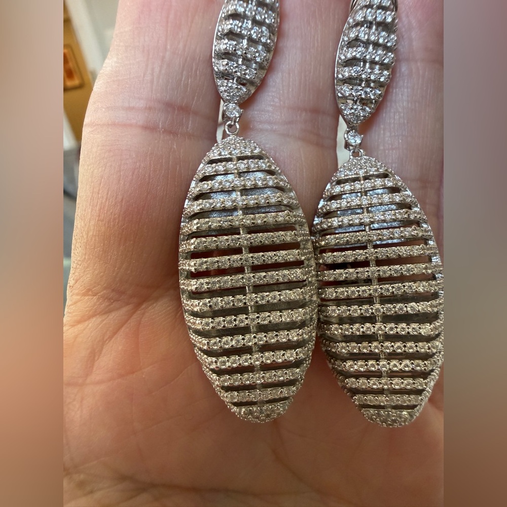 Elegant Silver Dangle Earrings